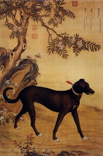 ENERGIA MESE OTTOBRE - CANE YANG ELEMENTO LEGNO 